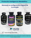 Protocolo Inteligencia Metabólica | Pack Restauración 90 Días